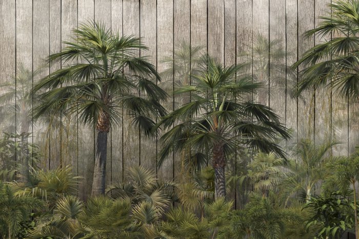 Papier peint  Plantes tropicales sur fond de planches de bois