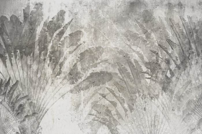 Papier peint  Grandes feuilles tropicales grises sur béton