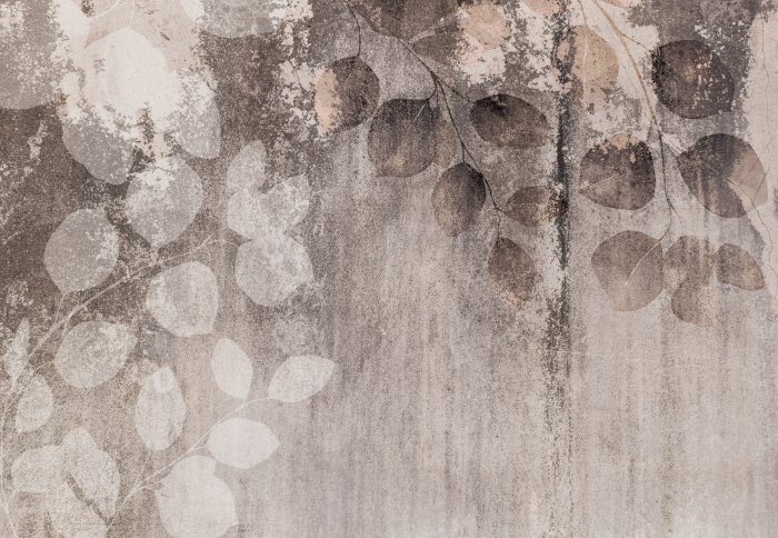 Papier peint  Branches d&#39;eucalyptus sur fond de béton