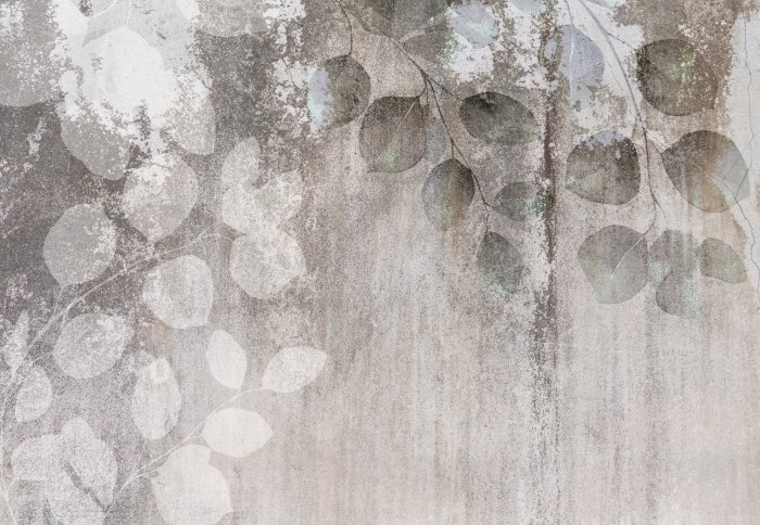 Papier peint  Branches d&#39;eucalyptus avec des feuilles sur un fond en béton