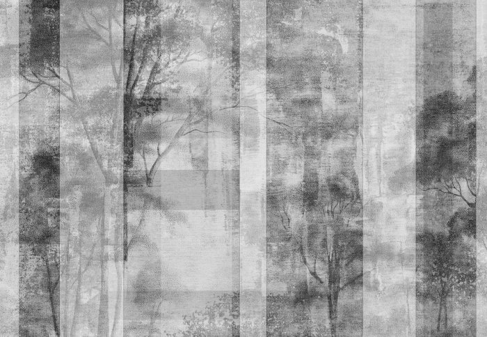 Papier peint  Paysage forestier avec des arbres en noir et blanc