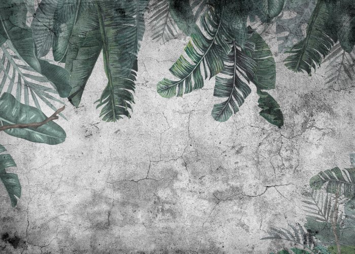 Papier peint  Feuilles tropicales suspendues sur un mur en béton gris foncé