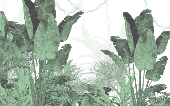Papier peint  Plantes tropicales vertes sur fond blanc