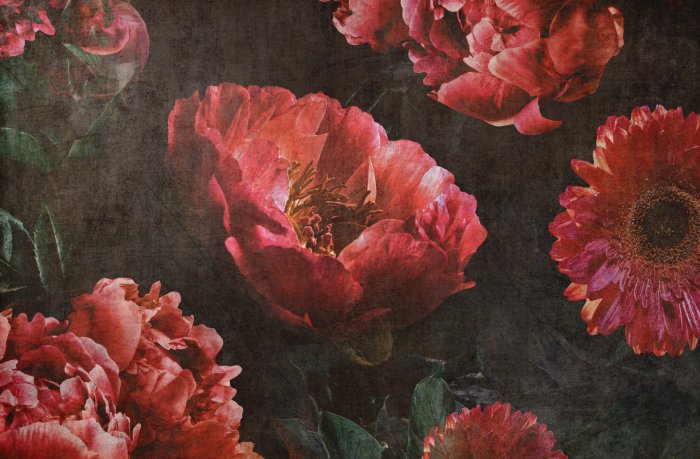 Papier peint  Fleurs rouges sur un fond texturé sombre