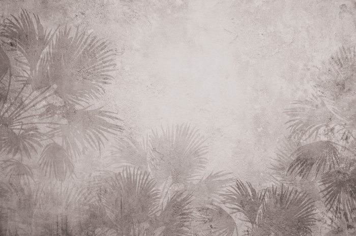 Papier peint  Végétation exotique sur fond de béton