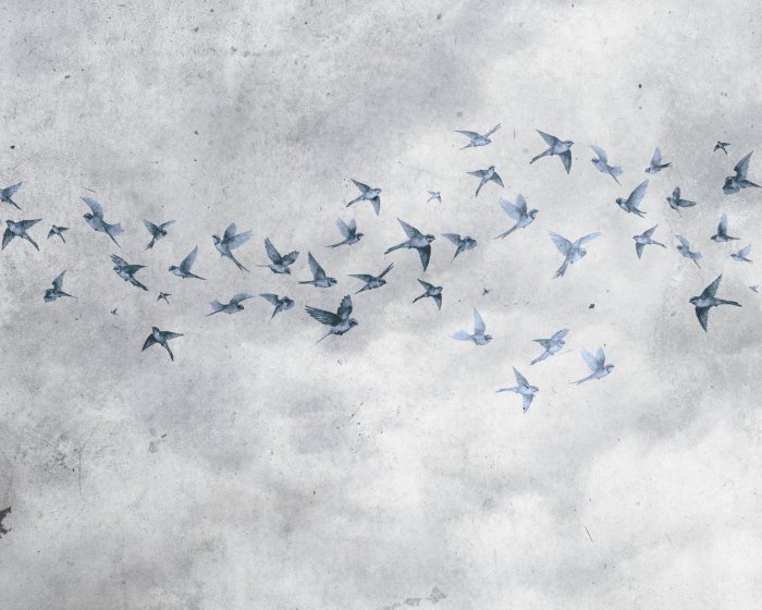 Papier peint  Oiseaux dans un ciel texturé