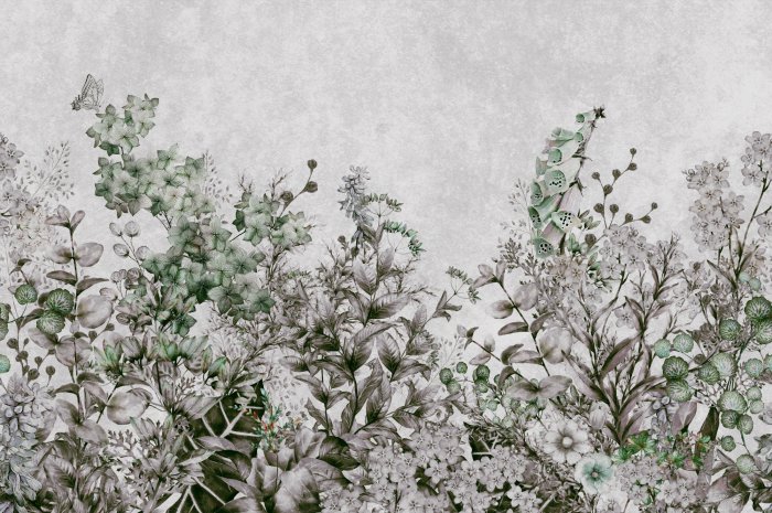 Papier peint  Plantes sur fond de béton gris