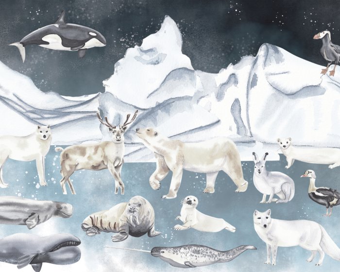 Papier peint  Motifs d&#39;animaux pour enfants dans un pays des merveilles hivernal