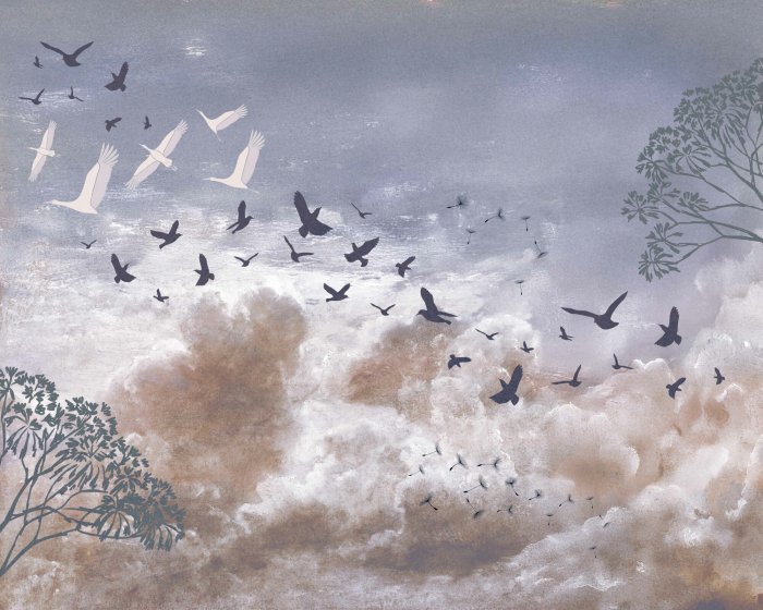 Papier peint  Oiseaux et graines de pissenlit contre les nuages