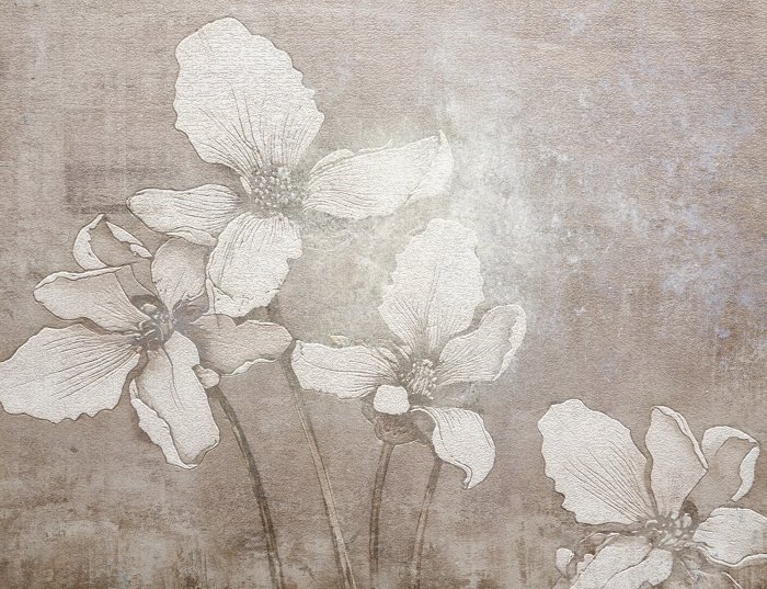 Papier peint  Fleurs blanches 3D sur fond texturé