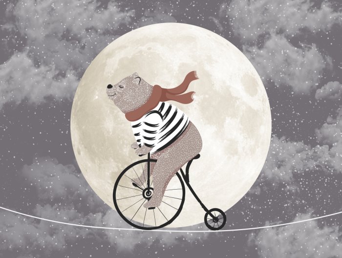 Papier peint  Un ours avec un vélo sur fond de pleine lune