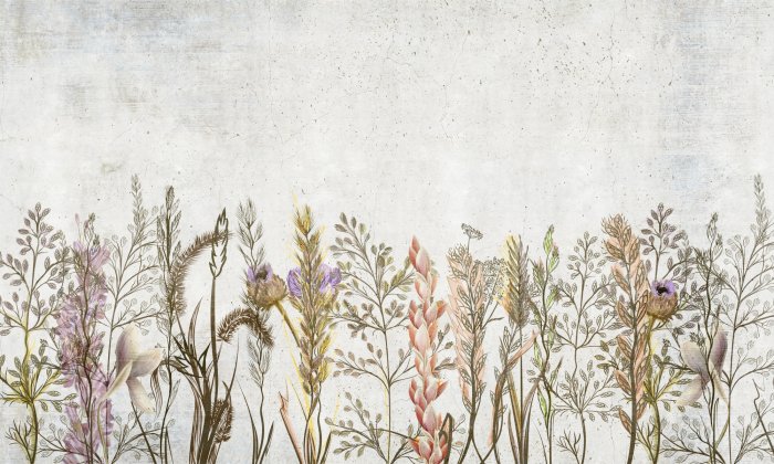 Papier peint  Plantes et fleurs des champs sur fond gris