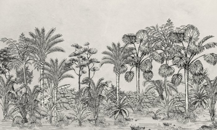 Papier peint  Paysage de forêt tropicale monochrome