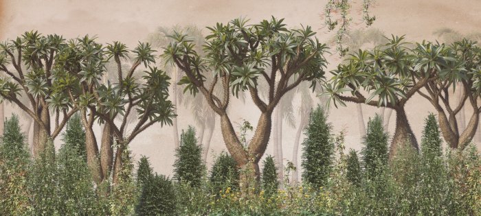 Papier peint  Forêt de séquoias vintage