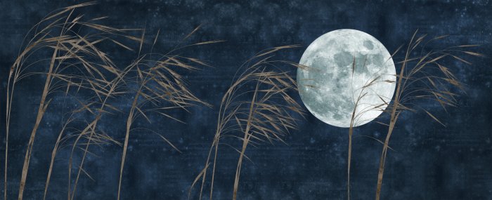 Papier peint  Pleine lune et herbe sur fond bleu marine