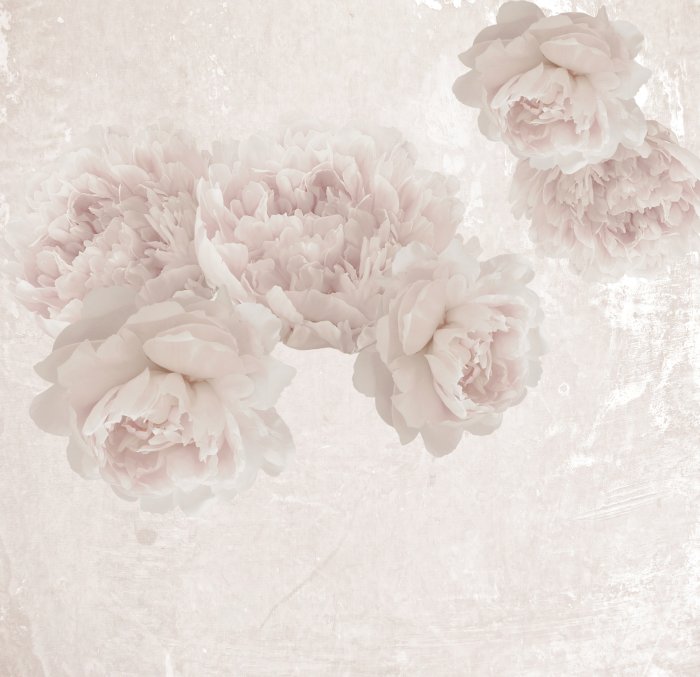 Papier peint  Pivoines aux couleurs pastel sur fond structuré