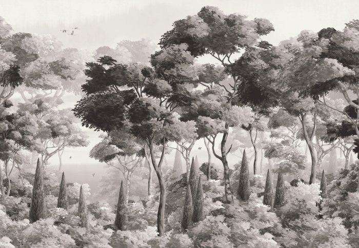 Papier peint  Paysage monochrome d&#39;une forêt luxuriante