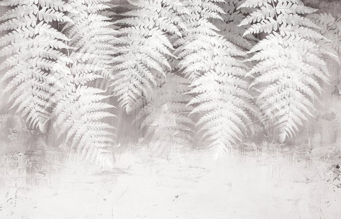 Papier peint  Feuilles de fougère blanches sur fond de béton