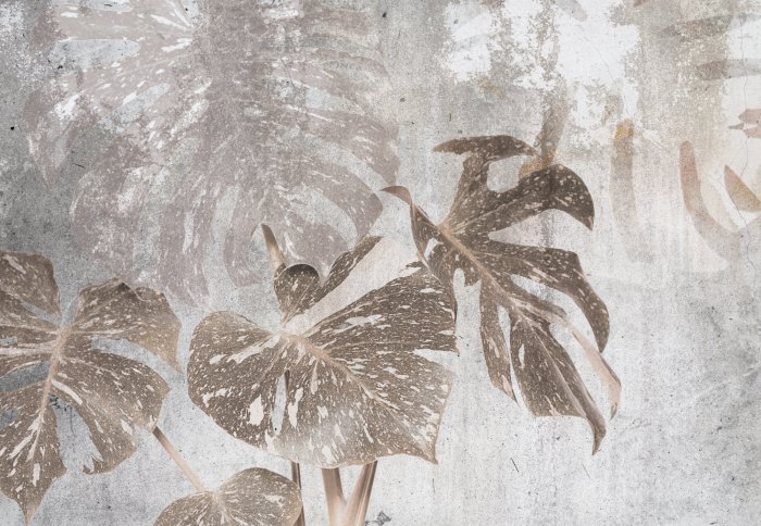 Papier peint  Feuilles de Monstera sur un fond de béton gris clair