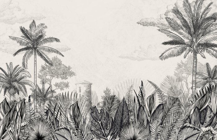 Papier peint  Paysage monochrome nature feuilles taches