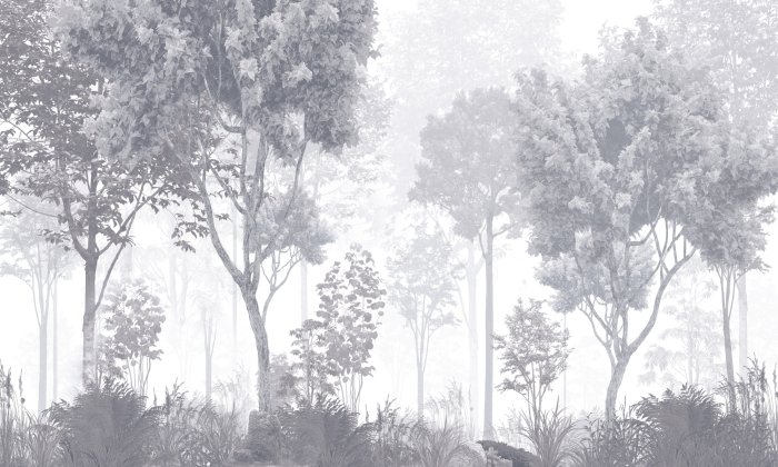 Papier peint  Un paysage forestier mystérieux aux couleurs monochromes