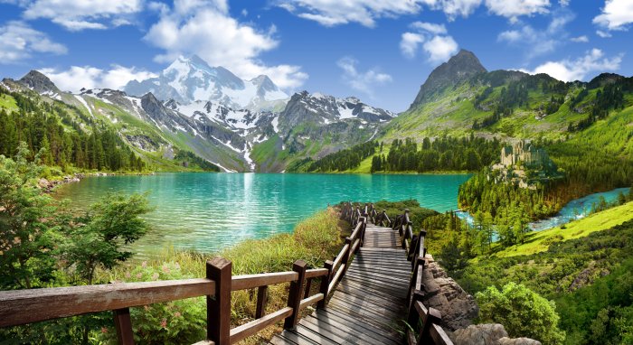 Papier peint  Paysage d&#39;une descente en bois vers un lac de montagne