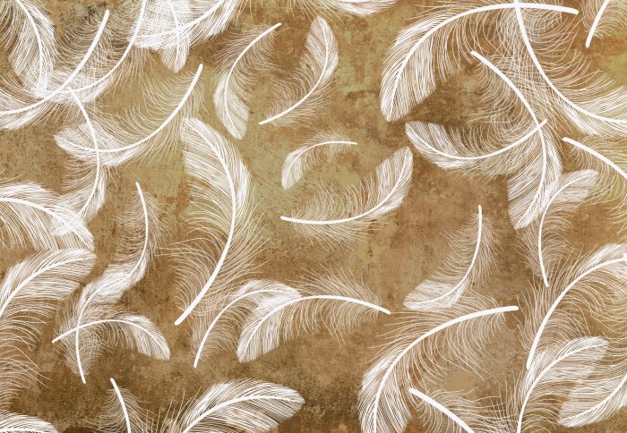 Papier peint  Plumes blanches sur composition en béton