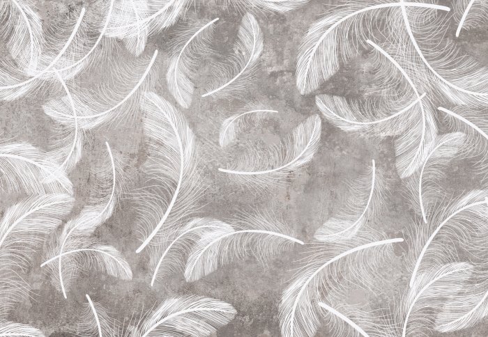 Papier peint  Plumes blanches sur fond de béton gris