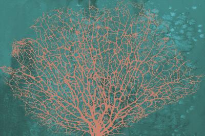 Poster  Coraux sur fond turquoise