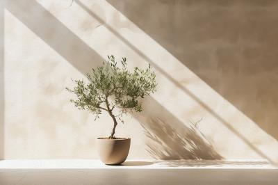 Poster  Olivier en pot