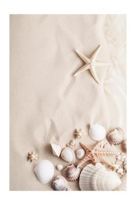 Poster  Coquillages et étoiles de mer sur une plage de sable