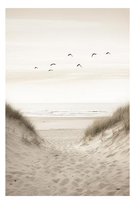 Poster  Coucher de soleil sur la mer paysage pittoresque