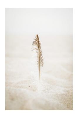 Poster  Plume sur une plage de sable