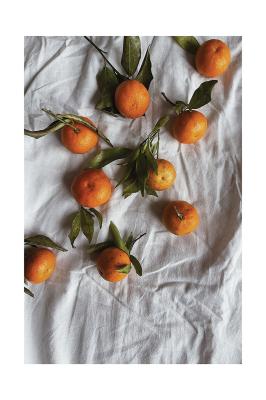 Poster  Oranges avec des feuilles vertes