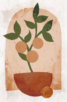 Poster  Oranger en pot