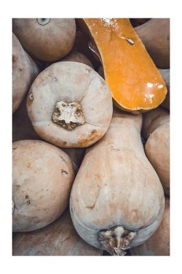 Poster  Citrouilles d’automne