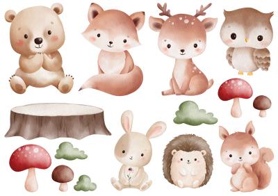 Sticker  Animaux mignons de la forêt et éléments de la nature
