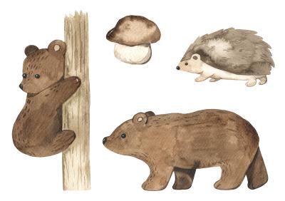 Sticker  Animaux de la forêt à l'aquarelle