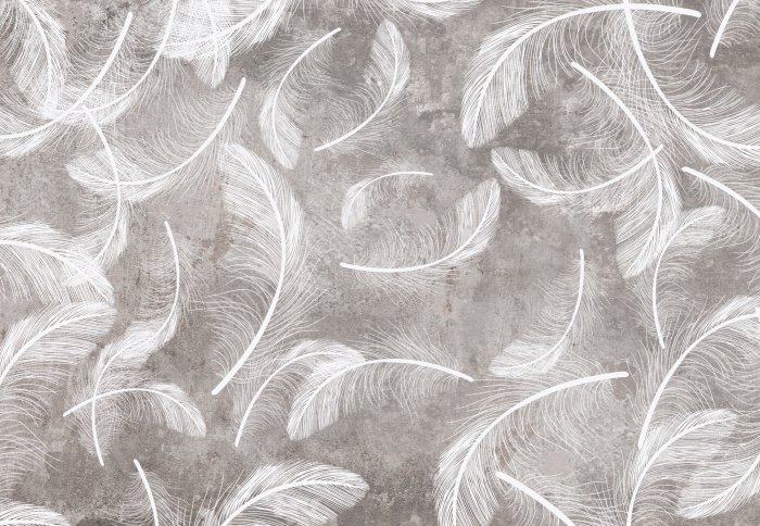 Papier peint  Plumes blanches sur fond béton gris style loft
