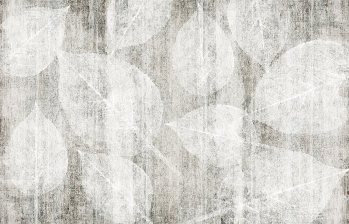 Papier peint  Feuilles subtiles sur fond en carton dans des tons de gris