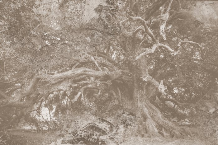 Papier peint  Paysage de style vintage avec arbre et texture béton