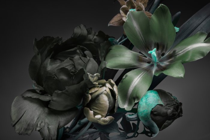 Papier peint  Lys et pivoines fleurs sur fond sombre