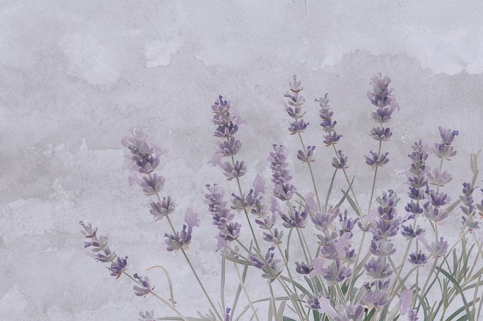 Papier peint  Fleurs de lavande à l'aquarelle sur béton