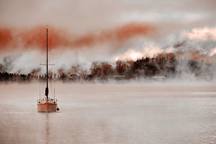 Papier peint  Voilier naviguant sur le fond d'une forêt brumeuse
