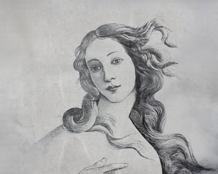 Papier peint  Portrait de Vénus en style vintage