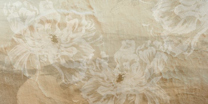 Papier peint  Pivoines claires sur fond en béton