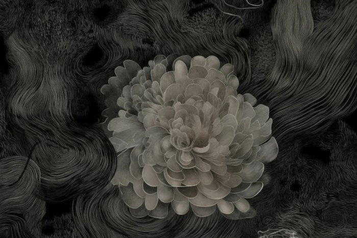 Papier peint  Abstraction florale monochrome au style moderne