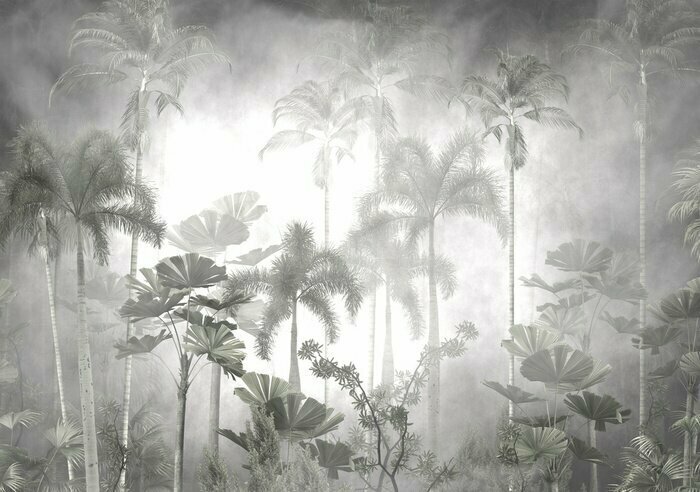 Papier peint  Tropical trees and leaves in foggy forest wallpaper design - 3D