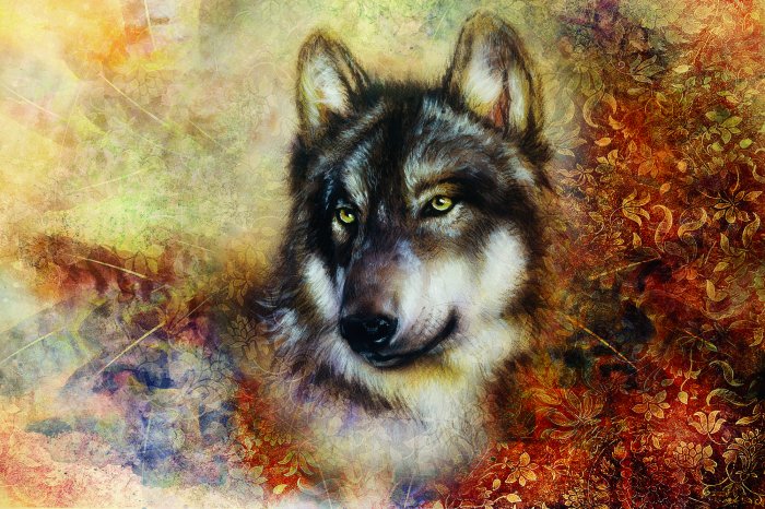 Papier peint  Portrait de loup avec un ornement décoratif en arrière-plan