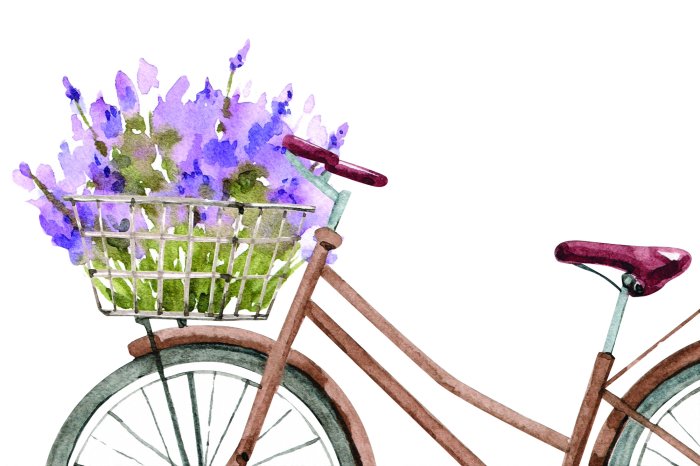 Papier peint  Vélo peint avec des bruyères dans le panier